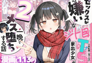 セックスが嫌いなジト目TS家出少女を一晩でメス堕ちさせた話2〜亀甲縛り露出セックスで性欲覚醒編〜