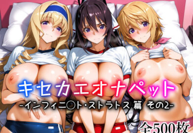 キセカエオナペット -インフィニ◯ト・ストラトス篇 その2-