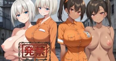 発禁姦区