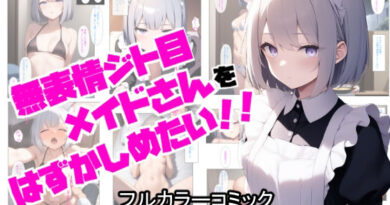無表情ジト目メイドさんをはずかしめたい！！